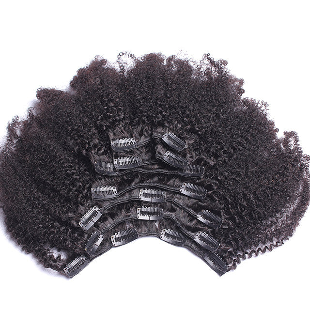 4B/4C Kinky Curly Clip-Ins (3615568560228)